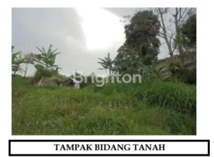 image TANAH DI KOLONEL MASTURI DESA CIHIDEUNG PARONGPONG LEMBANG (3)