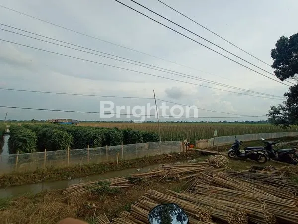 image TANAH DI JALAN RAYA PABUARAN SUBANG JAWA BARAT (1)