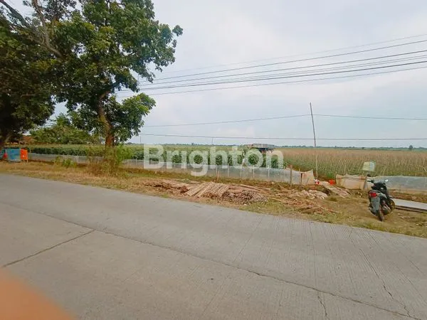 image TANAH DI JALAN RAYA PABUARAN SUBANG JAWA BARAT (2)