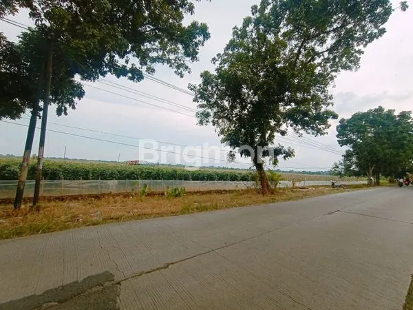 image TANAH DI JALAN RAYA PABUARAN SUBANG JAWA BARAT (3)