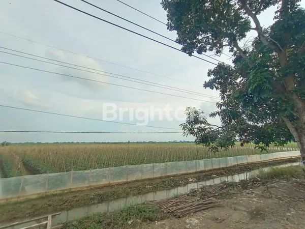 image TANAH DI JALAN RAYA PABUARAN SUBANG JAWA BARAT (5)