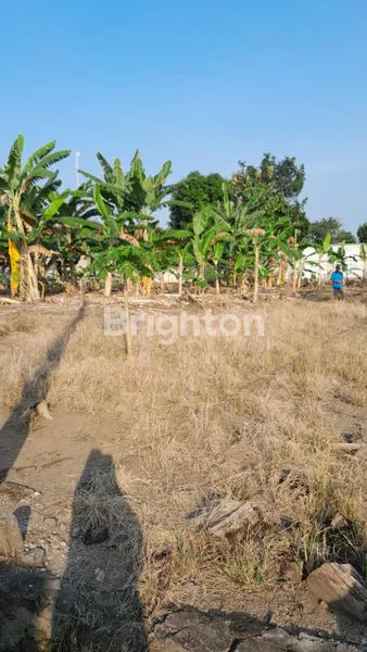 image PARANGJORO, GROGOL, SUKOHARJO, JAWA TENGAH TANAH UKURAN STANDAR, DENGANLOKASI STRATEGIS, KAWASAN DI PEMUKIMAN PENDUDUK (4)