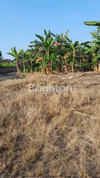 image PARANGJORO, GROGOL,SUKOHARJO, JAWA TENGAH, ADA TANAH KAVLING, HARGA TERJANGKAU, LOKASI KE TELUKAN HANYA 3 MENIT (4)