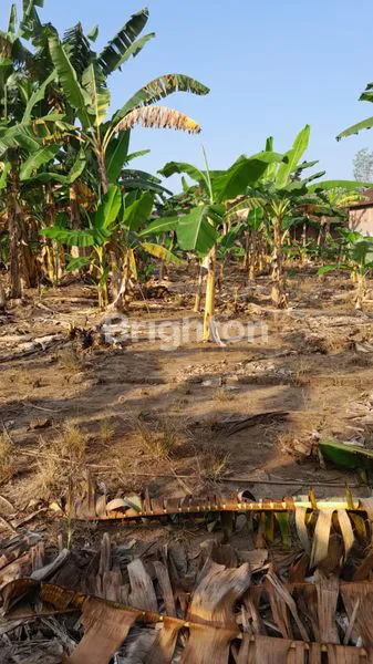 image PARANGJORO, GROGOL, SUKOHARJO, JAWA TENGAH,MASIH TERSEDIA TANAH KAVLING, LOKASI BERADA DI KAWASAN PEMUKIMAN PENDUDUK, KE JALAN RAYA TELUKAN DEKAT HANYA 3 MENIT (1)