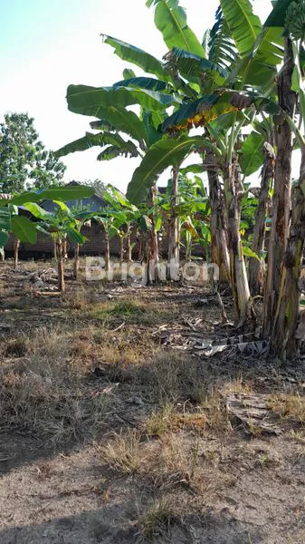 image PARANGJORO, GROGOL, SUKOHARJO, JAWA TENGAH,TANAH KAVLING, HARGA MURAH,LOKASI HANYA 6 MENIT KE SOLO BARU (5)