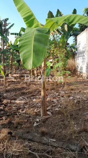 image PARANGJORO, GROGOL, SUKOHARJO, JAWA TENGAH, ADA TANAH KAVLING, HANYA 6 MENIT KE SOLO BARU, LOKASI STRATEGIS DAN NYAMAN (1)