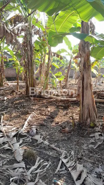 image PARANGJORO, GROGOL,SUKOHARJO, JAWA TENGAH TERDAPAT TANAH KAVLING, LOKASI BERADA DI KAWASAN PEMUKIMAN PENDUDUK , AREA GROGOL (3)