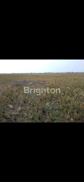 image TANAH LUAS DI KAWASAN TANGERANG BANTEN (1)