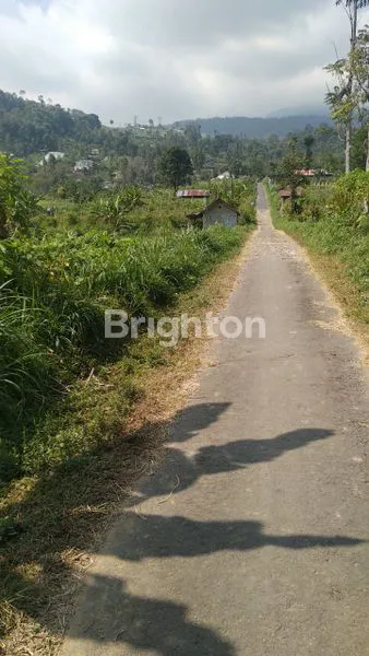 image TANAH VIEW GUNUNG LAWU DI PUSAT KEMUNING UDARA DINGIN  (4)