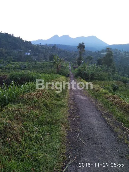 image TANAH VIEW GUNUNG LAWU DI PUSAT KEMUNING UDARA DINGIN  (7)