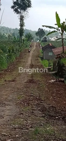 image TANAH VIEW GUNUNG LAWU DI PUSAT KEMUNING UDARA DINGIN  (6)