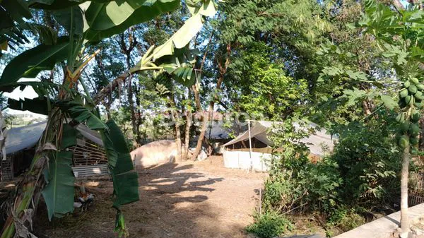 BENDOSARI,SUKOHARJO, JAWA TENGAH 4MENIT KE JL RAYA SOLO-WONOGIRI ADA TANAH STRATEGIS, KAWASAN PEMUKIMAN PENDUDUK, COCOK UNTUK DIBANGUN KOST-KOSTAN MAUPUN RUMAH TINGGAL