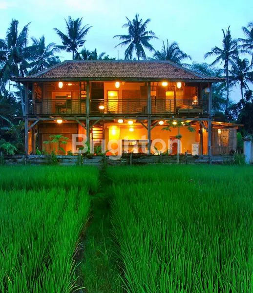 image VILLA TEPI SAWAH DI UBUD (PONDOK LANGON) (1)