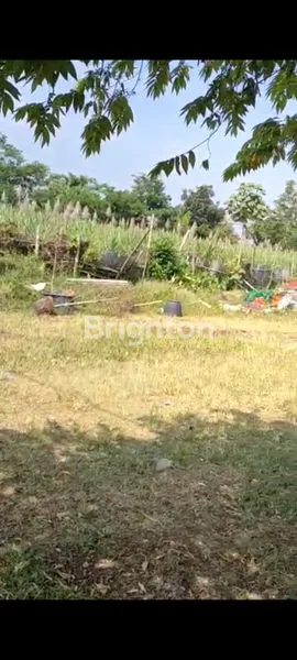 image TANAH INDUSTRI MALANG (4)