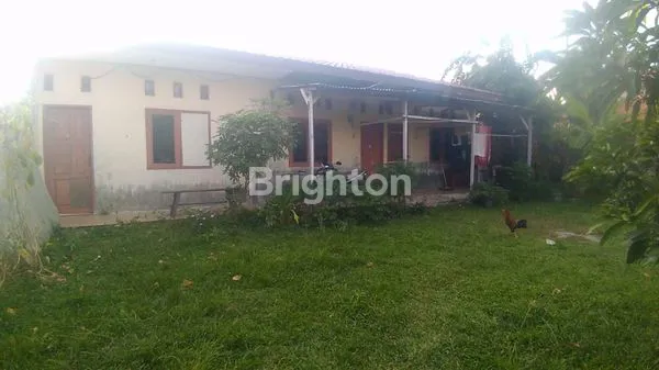 image RUMAH DAN TANAH LUAS BENTENG HILIR PERCUT SEI TUAN (5)