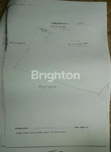 image TANAH KEBUN DI JEMBRANA (3)