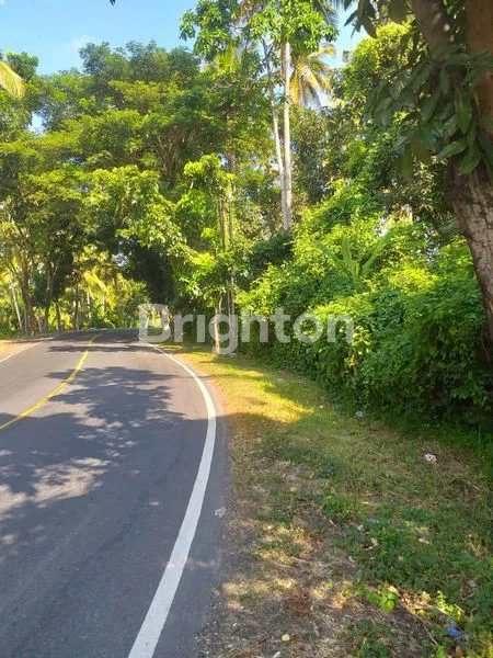 image TANAH DI BYPASS GILIMANUK SELEMADEG  (4)