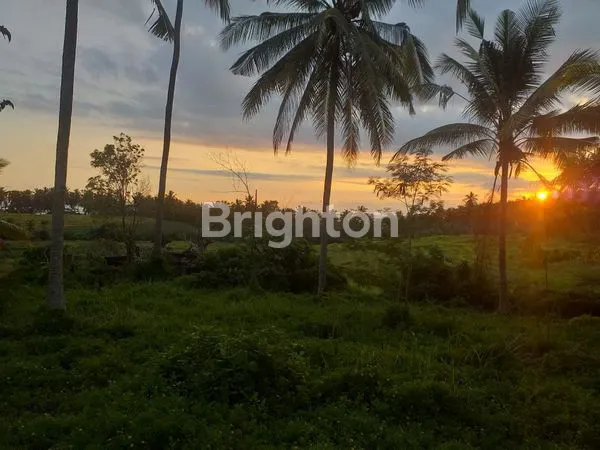 image TANAH DI BYPASS GILIMANUK SELEMADEG  (12)