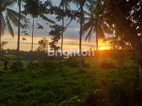 image TANAH DI BYPASS GILIMANUK SELEMADEG  (18)