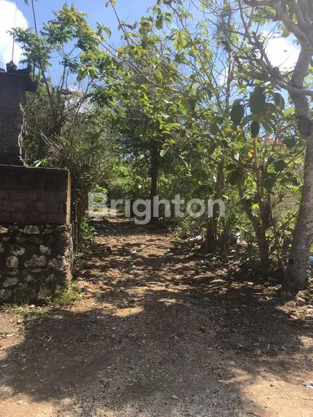 image DIJUAL TANAH COCOK UNTUK VILLA LOKASI DEKAT GWK  (3)