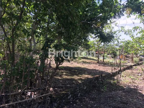 image DIJUAL TANAH COCOK UNTUK VILLA LOKASI DEKAT GWK  (5)
