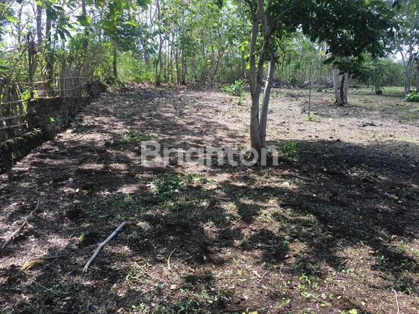 image DIJUAL TANAH COCOK UNTUK VILLA LOKASI DEKAT GWK  (6)