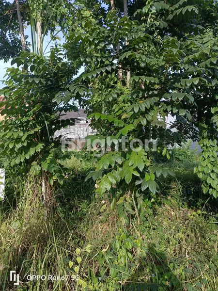 image TANAH KAVLING JALAN KEMBAR ROW JALAN 8 M SIAP BANGUN (2)