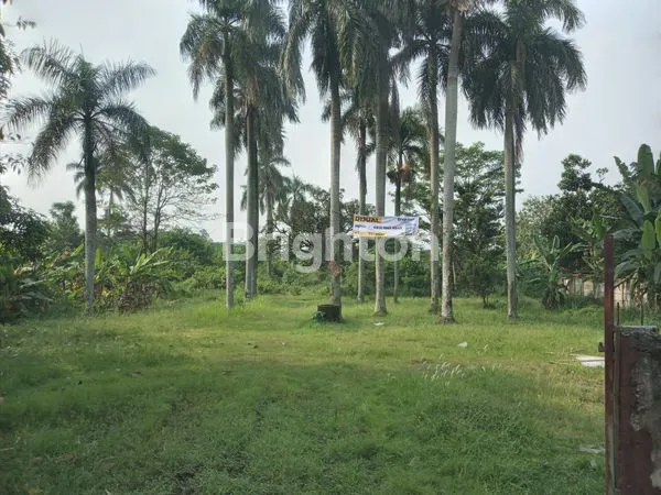 image LAHAN 1,3 H DI DEKAT TELAGA  KAHURIPAN  (14)