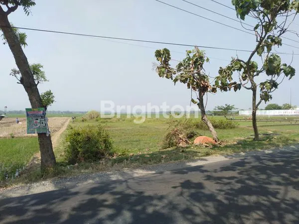 TANAH PEKARANGAN SIAP BANGUN DI MOJOWARNO JOMBANG