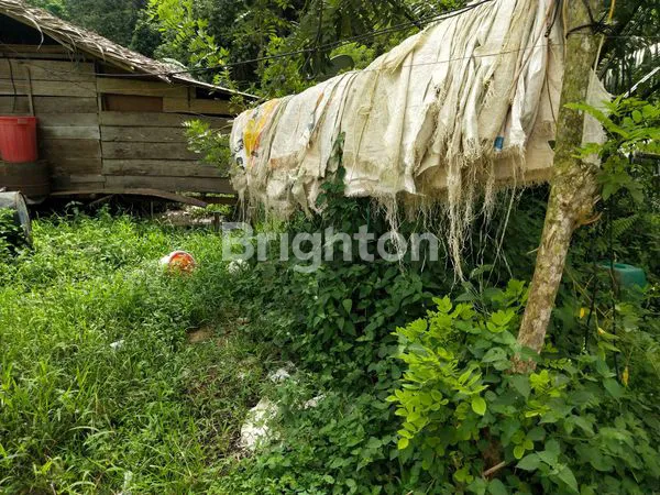 image LAHAN TANAH UNTUK LOKASI BISNIS DAN PEMBANGUNAN PERUMAHAN DI JALAN POROS SAMARINDA BONTANG (5)