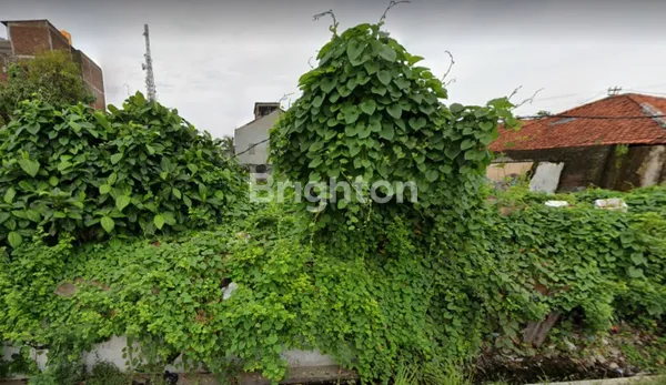 image TANAH KETINTANG LUAS 600AN ROW JLN 2 MBL (1)