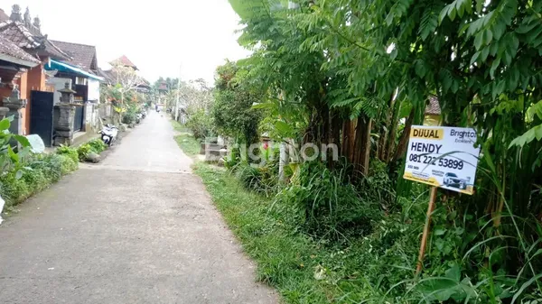 image TANAH DI GIANYAR BALI (1)