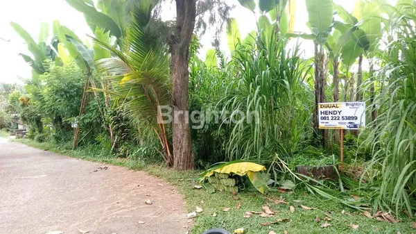 image TANAH DI GIANYAR BALI (2)