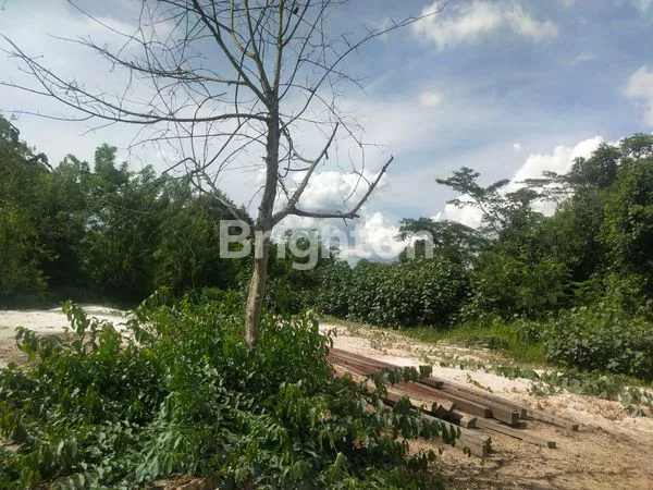image LAHAN TANAH UNTUK PERKEBUNAN, PERUMAHAN, ATAU PERGUDANGAN DI MUARA BADAK (2)
