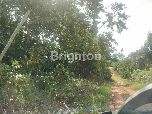 image LAHAN TANAH UNTUK PERKEBUNAN, PERUMAHAN, ATAU PERGUDANGAN DI MUARA BADAK (3)