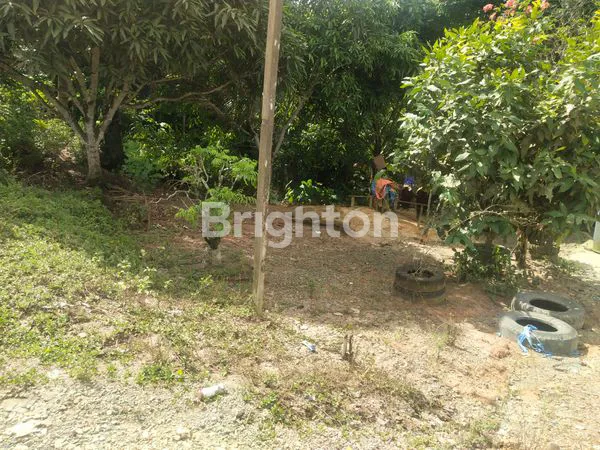 image LAHAN TANAH UNTUK PERKEBUNAN, PERUMAHAN, ATAU PERGUDANGAN DI MUARA BADAK (5)