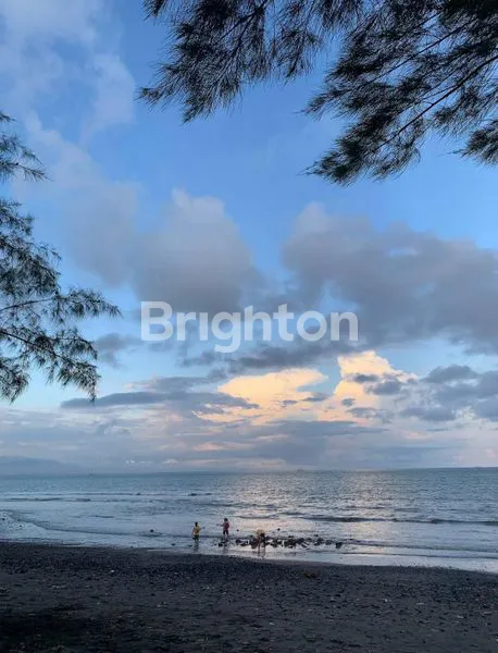 image BANYUWANGI TANAH BAGUS KOTAK DI WONOSOBO SRONO (1)