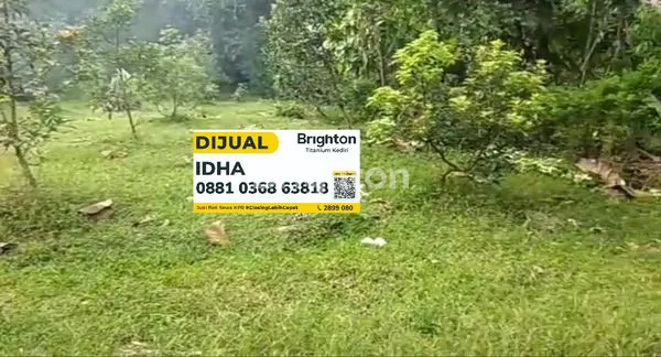 image TANAH PEKARANGAN/SAWAH PRODUKTIF DEKAT GUDANG GARAM (1)