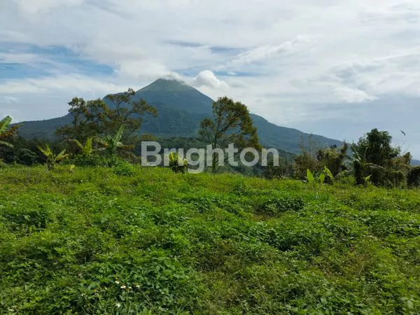 image TANAH LAPANG DI PRIGEN (1)