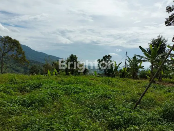 image TANAH LAPANG DI PRIGEN (2)