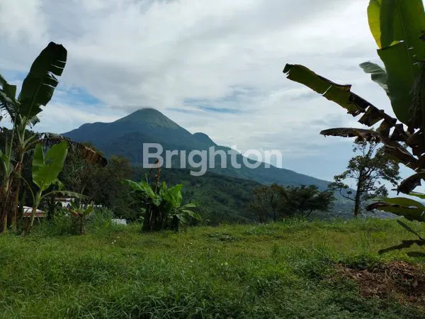 image TANAH LAPANG DI PRIGEN (4)