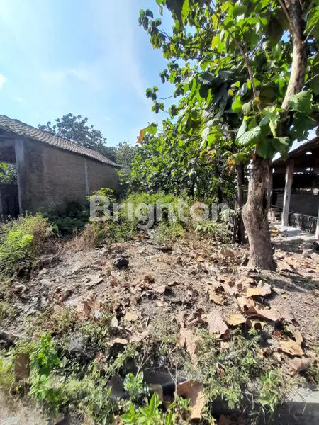 image SUKOHARJO BAKI, MENURAN ADA TANAH PEKARANGAN DI PEMUKIMAN PENDUDUK, JALAN SIMPANG MOBIL (3)