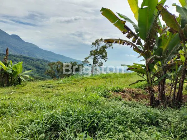 image LAHAN TRAWASVIEW BAGUS COCOK UTK TEMPAT ISTIRAHAT DAERAH ADEM VIEW GUNUNG PENANGGUNGAN COCOK UNTUK VILLA, RESTO DLL (6)
