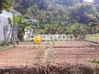 Screenshot 20230610 085913 Brighton