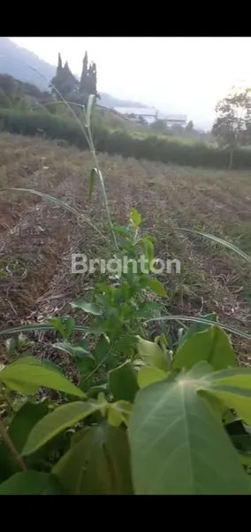 image TANAH MURAAH DAN LUAS DEKAT HOTEL ZAM ZAM JL ABDUL GHANI KOTA BATU (4)