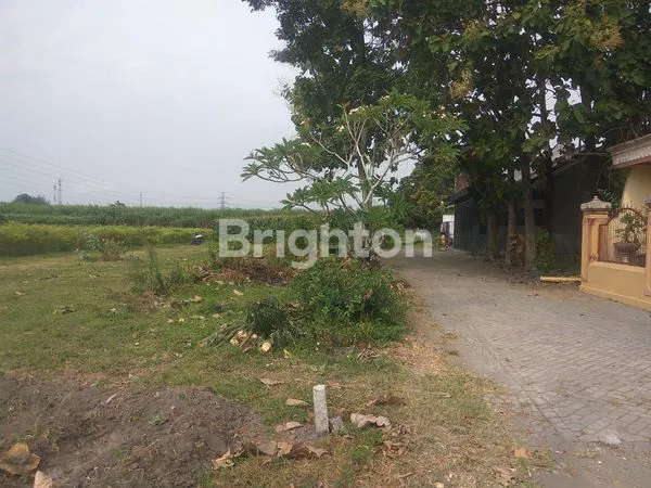 image SAWAH DIKEDIRI TURUN HARGA (3)