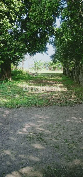 image RUMAH  2 LANTAI & SISA TANAH YG LUAS SECOND ROAD TERAWAT SIAP HUNI SUKODONO (7)