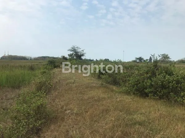 image TANAH BEKAS TAMBAK UDANG PERBATASAN JAWA TIMUR DAN JAWA TENGAH DI REMBANG (3)