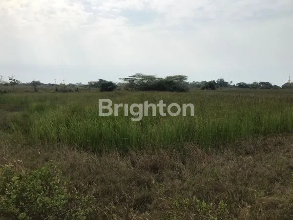image TANAH BEKAS TAMBAK UDANG PERBATASAN JAWA TIMUR DAN JAWA TENGAH DI REMBANG (2)