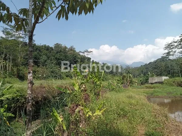 image LAHAN BANYAK SUMBER AIR BAGUS UNTUK USAHA AIR DAN PEMANCINGANLOKASI DESA KEJI - UNGARAN  (2)